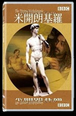 dvd michelangelo Giappone