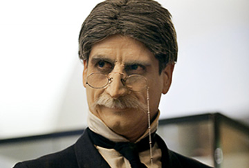 Stefanaccio Categoria