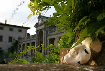 VeleniMedici Categoria